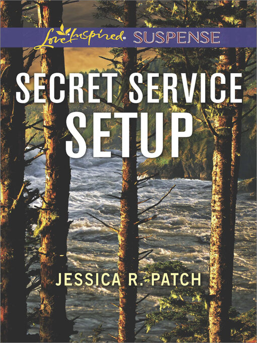 Cover image for Secret Service Setup
